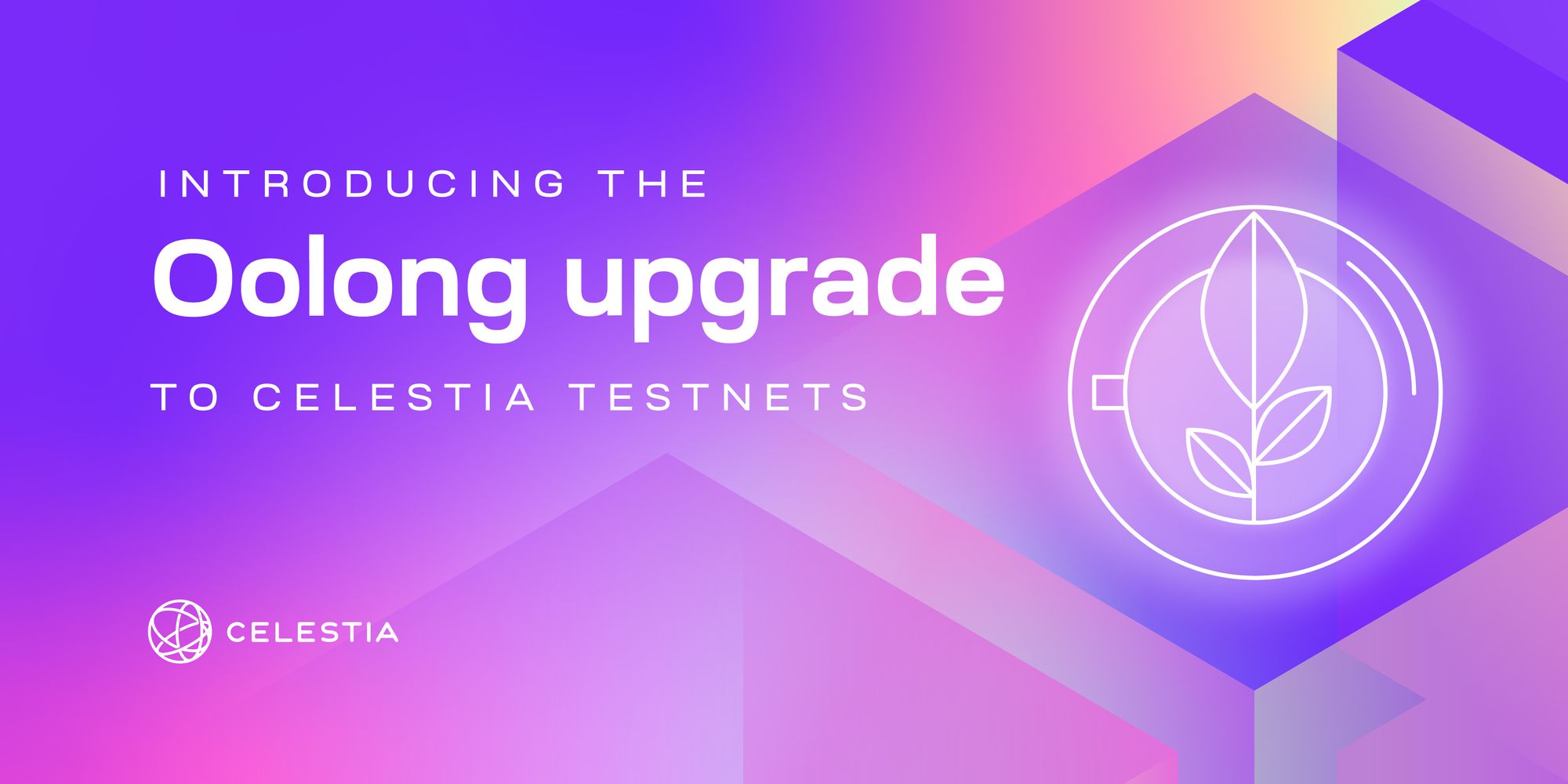 Introducing the Oolong upgrade to Celestia testnets
